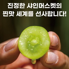 [100%환불보장제]프리미엄 샤인머스켓 특품, 샤인머스켓 특품 1kg(1~2수), 1개