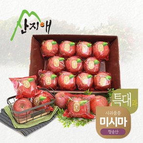 산지애 씻어나온 꿀사과 4kg 1box (특대과) / 청송산 미시마 당도선별