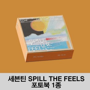 세븐틴 앨범 미니 12집 SPILL THE FEELS 스탠다드 랜덤 1종