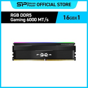 실리콘파워 Silicon Powe DDR5 RGB PC5-48000 CL30 데스크탑 메모리키트, 16GB 블랙