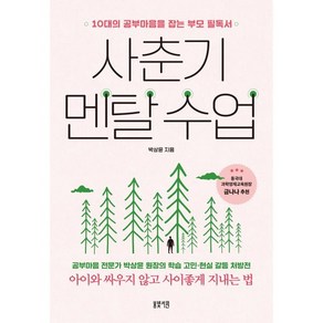 사춘기 멘탈 수업 : 10대의 공부마음을 잡는 부모 필독서, 봄빛서원