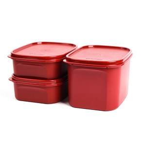 타파웨어 Tupperware 김치통 직사각 0.85L 1.9L 3종 세트