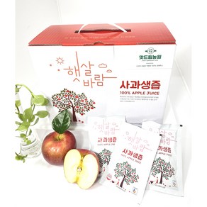 배꽃마을 꽃보다 사과즙 110ml 50포 대용량, 50개