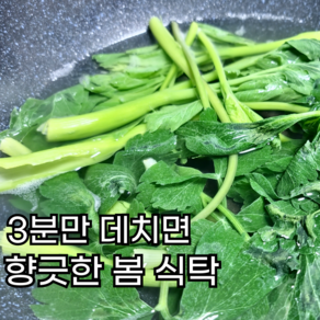 [믿고먹는 하루7kg 한정] 나물엄마 바다가 키운 방풍 나물, 1개, 500g