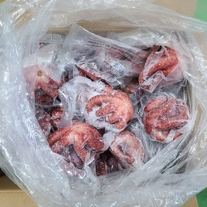 도매/업소용 대용량 9kg 냉동자숙문어 (데친문어) [EL], 550g 내외(15~16미), 1개