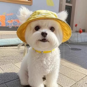 Wamth 귀여운 고양이 강아지 귀달이 조절 버클 버킷햇 모자 펫 모자 고양이 강아지 캡 모자 썬캡 자외선 차단 모자 여름 외출, 1개, Yellow