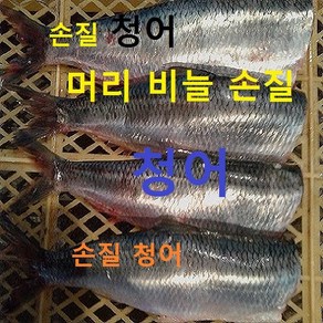 (쌍다리상회) 손질 청어 머리 비늘 손질 진공급냉