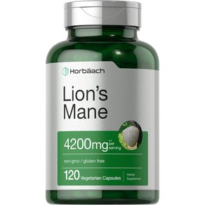 Hobaach Lions Mane 4200mg 120캡슐 호바흐 노루궁뎅이버섯 추출물 사자버섯 고함량 미국 직구, 120정, 1개