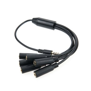 BF214 Coms 3.5mm 스테레오 6분배 케이블 젠더 30cm / AUX Steeo M/Fx6 / 이어폰 스피커 동시 출력, 1개