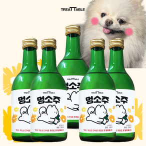 강아지 피크닉 술 음료 비타민, 5개, 330ml, 멍소주