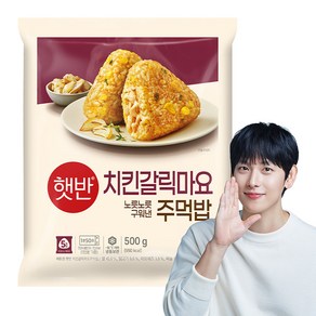 햇반 치킨갈릭마요주먹밥 500g, 1개