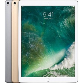 애플 아이패드 프로 2세대 12.9 인치 iPad Po 2 와이파이 Wifi 셀룰러 64GB 256GB 512GB