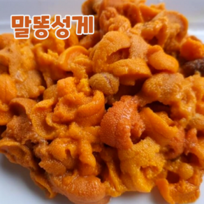 산지직송 포항 우니 보라성게 성게알, 500g, 1개