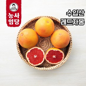 농사임당 자몽 최상급 레드자몽 6과 8과 12과 24과 (개당 310~330g 내외), 1개, 6과(개당 310g~330g 내외)