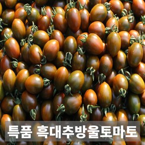 금메달농수산 산지직송 흑 대추방울토마토, 1개, 1kg