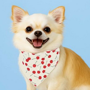강아지 고양이 똑딱이 패션스카프 귀여운 턱받이 아이즈펫 외출템, 1개, 레드체리