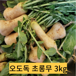 황토 알타리무 1단(3kg내외)진짜 맛있는 아삭아삭 국산 무우 총각무(초롱무로 발송)