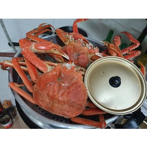 러시아대게 자숙 대게 산지직송 2kg 내외 (2미), 1개