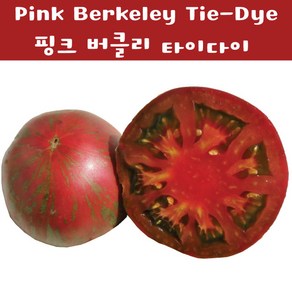 Pink Bekeley Tie-Dye 핑크 버클리 타이다이 큰토마토 달콤한 희귀토마토 교육체험용 세트