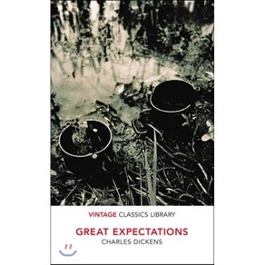 Geat Expectations, Vintage Classics