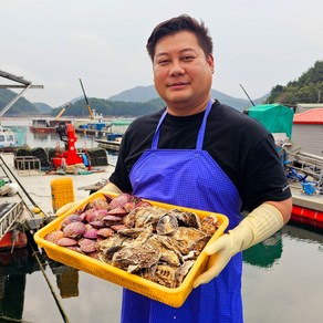 통영빛굴 깨끗세척 입망석화 각굴 석화 굴 5kg 10kg 석가세트 석화+홍가리비 생산자인증