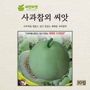 세계종묘 사과참외 씨앗 30립, 1개