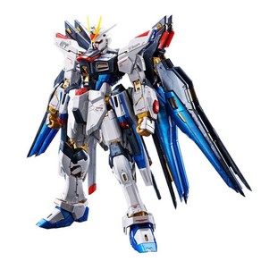 BANDAI RG 1144 스트라이크 프리덤 건담 [티타늄 피니시] 프라모델 (취미 온라인, 1개