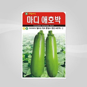 슬로시 슬로시 열매 씨앗 고추 토마토 콩 씨 종자, 1개