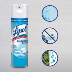 LYSOL 라이솔 섬유 살균제 스프레이 소독 청소 538g 354g 2종, 1개