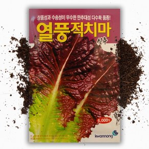 열풍적치마 상추씨앗 (6000립), 1개