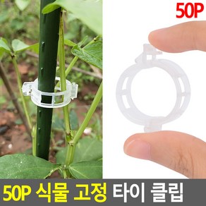 식물고정 클립 50P 투명 원예고정끈 작물고정 원예끈