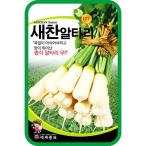 새찬알타리 씨앗 / 김장 가을 알타리 무 종자 무우 adish seed 소포장 대용량, 500g (대포장), 1개