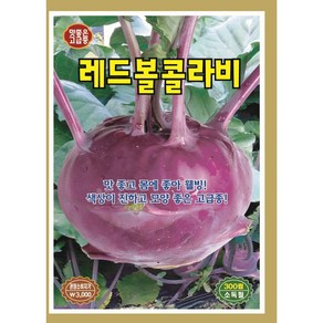 레드볼콜라비 300립/맛 좋고 몸에 좋은 고급 콜라비 씨앗