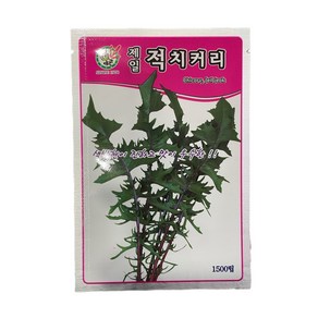 적치커리 씨앗 1500립 [24년포장] 적 치커리 종자 오스템바이오, 1개