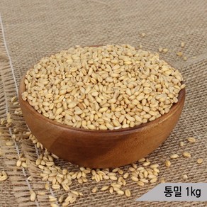 건강알곡 통밀 1kg 앵무새 햄스터 소동물 간식 사료, 1개