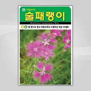 슬로시 꽃 씨앗 고급 꽃씨 야생화 허브씨 종자 모음