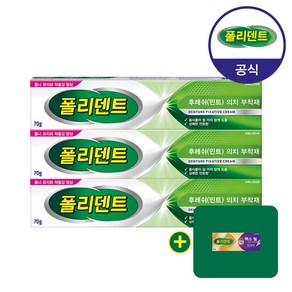 폴리덴트 의치 부착재 (민트향) 3개+샘플 1개 증정, 3개, 1개입