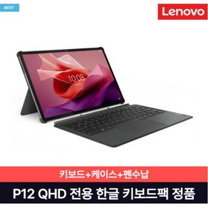 레노버 Tab P12 전용 키보드팩(키보드+힌지커버), 스톰 그레이, 1개