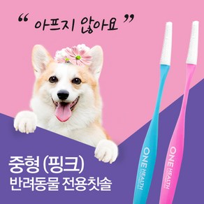 원헬스 강아지칫솔 애견 양치 강아지 이빨관리 치석제거 칫솔, 02. 원헬스 반려동물 칫솔(중형-핑크), 1개