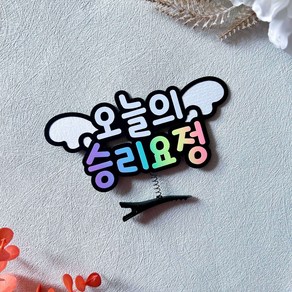 스포츠 승리요정 토퍼 머리핀 야구 축구 농구 배구 직관 응원용품, 1개
