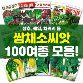 각종 엽채류 쌈채소 씨앗 모음 상추 배추 갓 시금치 치커리 씨 종자, 012-후레쉬적축면3g, 1개