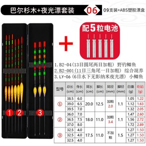 WAKE 야간 낚시 발광 플로트 세트 민물전자찌 세트 스마트낚시찌 입질 감지 올림 내림 장찌