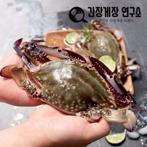 냉동꽃게 급냉 제철 꽃게 선동 숫꽃게 암꽃게 택배 국내산, 국내산 수꽃게 중대3kg, 1개