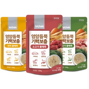 국산 이즈칸 영양듬뿍 기력보충 강아지죽 파우치, 12개, 80g, 3종콤보(소고기황태죽,연어황태죽,닭고기황태죽)