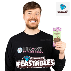 피스터블 밀크 초콜릿 10개입 미스터 비스트 MrBeast Feastables