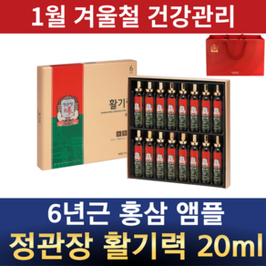 정관장 6년근 홍삼 농축액 앰플형 활기력 20ml 레드 쇼핑백 포함 생강 대추 구기자 오미자 황기 직접섭취 엑기스 액기스 부모님 가정의달 설 추석 선물세트, 2세트, 320ml