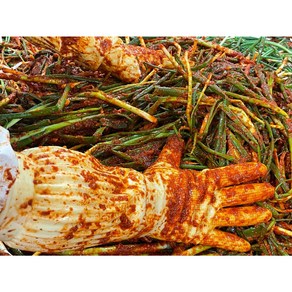 정만농수산 30년전통 당일생산 당일발송 알싸한 최상급 파김치, 1개, 1kg