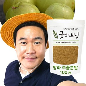 암라가루 암라 분말 파우더 추출물 인디안 구스베리 AMLA 효능 100g 굿허브닝