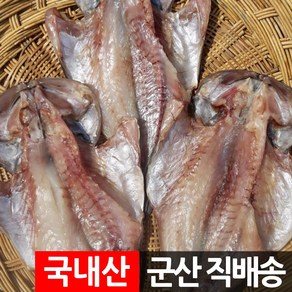 장스토어 반건조 우럭 2~3미 700g 국산 군산직송, 1세트, 01_우럭 소 3미 700g 내외