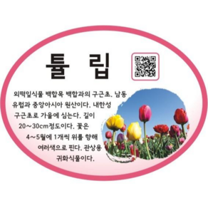 [맑은누리디자인] 꽃팻말-원형 걸이형 QR코드-001 (50개이상은 전화문의) 푯말 이름표 화단 표찰 수목 나무 꽃이름